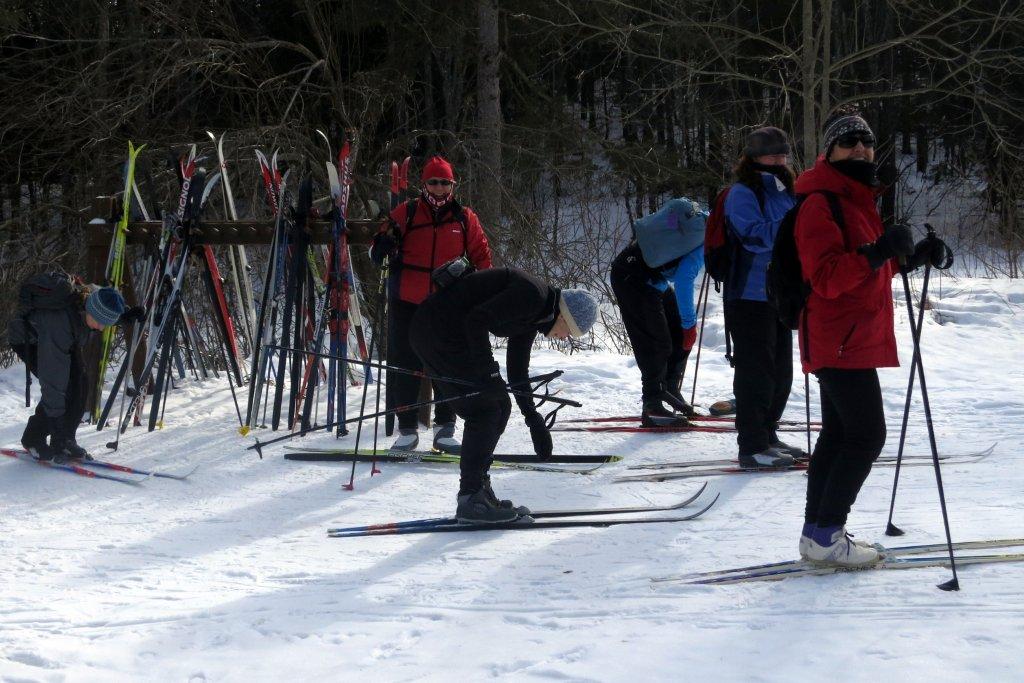 Women skiing in Gatineau park